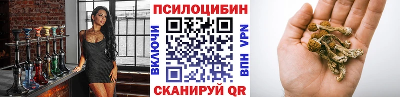 shop формула  Копейск  Галлюциногенные грибы Psilocybe 