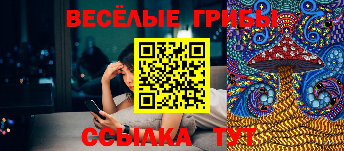 Псилоцибиновые грибы прущие грибы Копейск